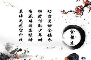 古詩(shī)中帶有的詩(shī)句