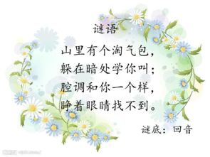 關(guān)于山谷回音的詩(shī)句