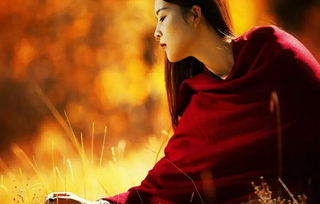 關(guān)于紫蝶的詩(shī)句