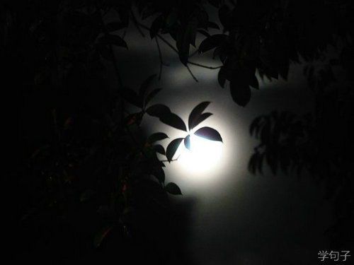詩(shī)句,夜晚,白天和
