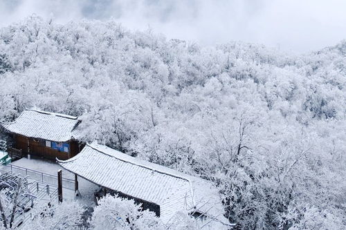古詩(shī)詞,詩(shī)句,大雪