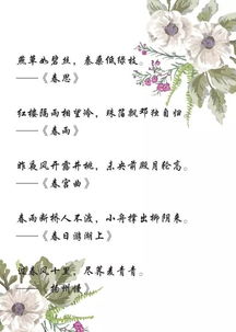 關(guān)于春天的詞句或詩(shī)句
