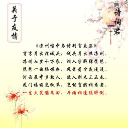 描寫(xiě)朋友的詩(shī)句古詩(shī)詞