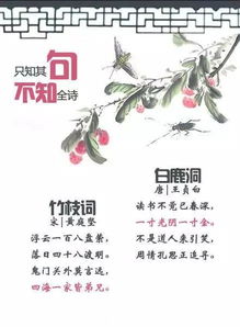 關(guān)于建言的古詩(shī)句