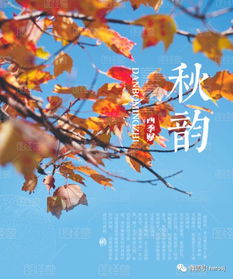 關(guān)于描寫(xiě)秋天的古詩(shī)句,描寫(xiě)秋天的優(yōu)美古詩(shī)句,關(guān)于描寫(xiě)秋天的古詩(shī)句有哪些