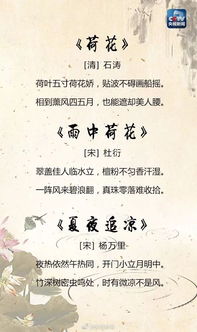 描寫(xiě)小學(xué)夏天的詩(shī)句古詩(shī)