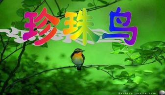 關(guān)于珍珠鳥的詩句和成語