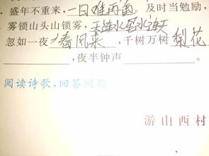 帶阿的古詩(shī)句