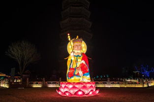 關(guān)于描寫(xiě)燈展的詩(shī)句
