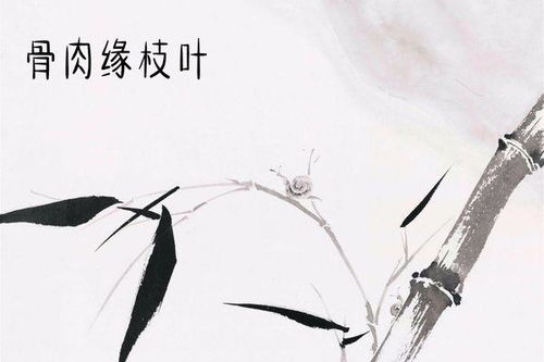 詩(shī)句中含有數字的古詩(shī)6