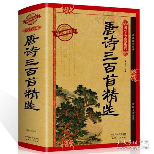 初中學(xué)過(guò)古詩(shī)詞中描寫(xiě)春天的詩(shī)句