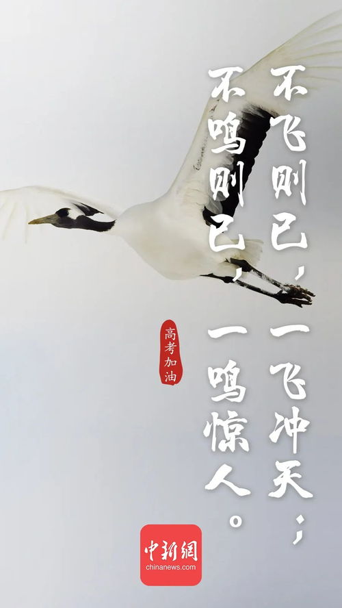 關(guān)于準備的古詩(shī)句,準備大干一場(chǎng)的古詩(shī)句,做好提前準備的古詩(shī)句
