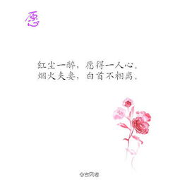 關(guān)于愛(ài)的溫暖的詩(shī)句