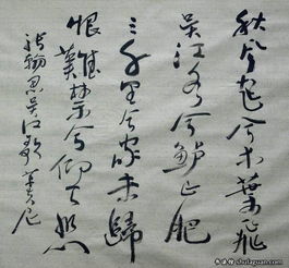 關(guān)于思鄉的一句詩(shī)句是什么