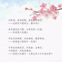 詩(shī)句,寫(xiě)人