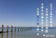 關(guān)于自己生活經(jīng)歷的詩(shī)句