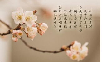 關(guān)于馬的押韻的詩(shī)句