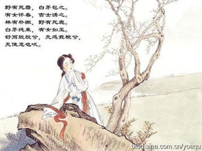 詩(shī)經(jīng)中關(guān)于其的詩(shī)句