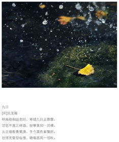 關(guān)于秋雨的詩(shī)句的古詩(shī)詞