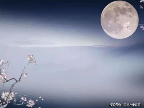 寫(xiě)中秋節寫(xiě)酒的詩(shī)句古詩(shī)