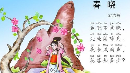 古詩(shī)中惜春傷春的詩(shī)句