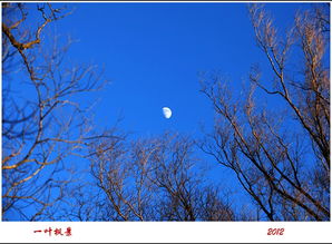 關(guān)于正月十五思鄉的詩(shī)句