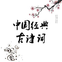 古詩(shī)對楊志的評價(jià)詩(shī)句