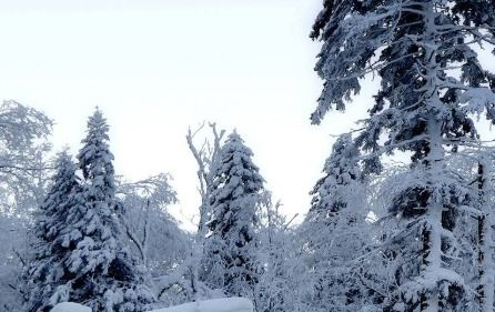 詩(shī)句,詞語(yǔ),四字,于雪
