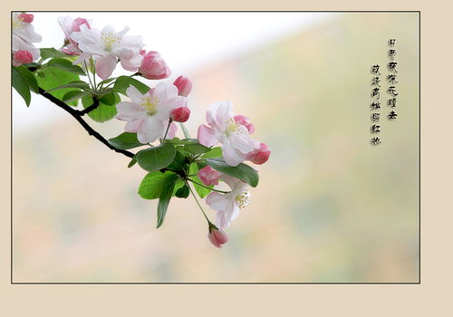 詩(shī)句,寫(xiě)出,含有