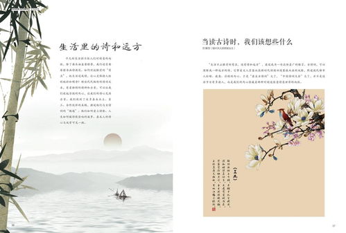山水月詩(shī)句古詩(shī)詞