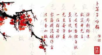 詩(shī)句,卜算子,詠梅