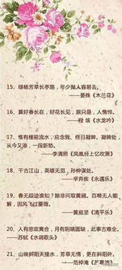中常,詩(shī)句,用到,生活