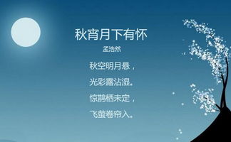 詩(shī)句,寧靜,生活