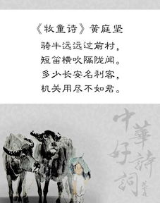 描寫(xiě)情的詩(shī)句古詩(shī)詞