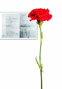 描寫小孩作畫(huà)古詩(shī)句