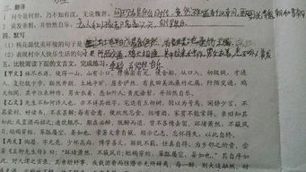關(guān)于寫(xiě)生活中的情景的詩(shī)句