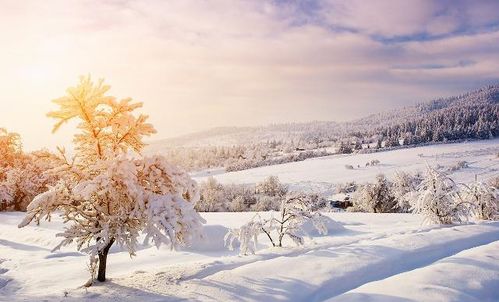 描寫(xiě)節氣大雪的詩(shī)句古詩(shī)詞