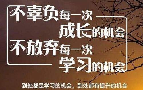 英文,詩(shī)句,奮斗