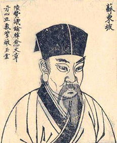 關(guān)于蘇軾荷花的詩(shī)句