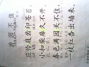 描寫(xiě)春山春鳥(niǎo)春月的詩(shī)句古詩(shī)