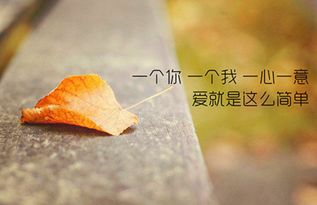 關(guān)于贊美大海的現代詩(shī)句