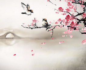 關(guān)于月的相思詩(shī)句
