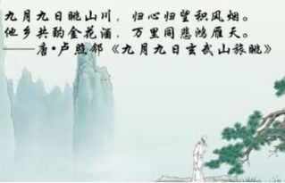 古詩(shī)詞,詩(shī)句