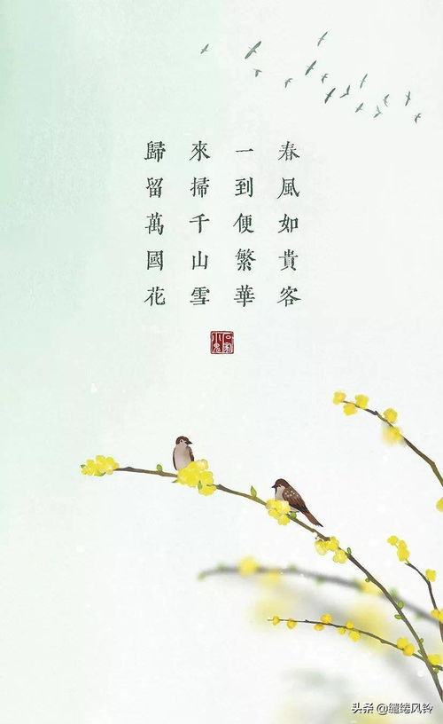 關(guān)于春天花的詩(shī)句古詩(shī)