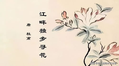 關(guān)于浣的詩(shī)句