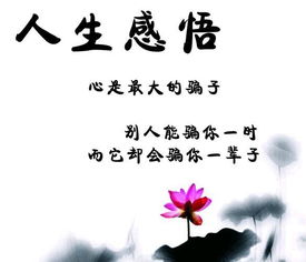 感嘆道路難行的古詩(shī)句