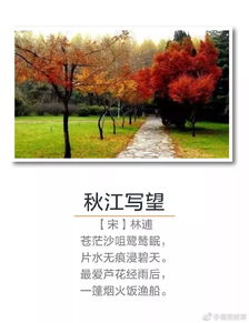 描寫秋天的古詩和古詩詞,關于描寫秋天的古詩句,描寫秋天的優(yōu)美古詩句