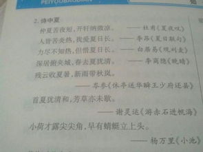 夏天的詩(shī)句古詩(shī)大全要整首
