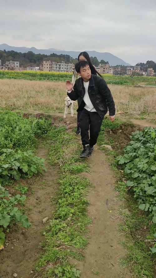 關(guān)于下雨的搞笑詩(shī)句