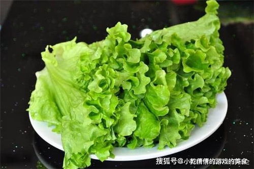 關(guān)于生菜的詩(shī)句